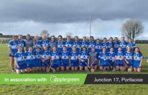 All-Ireland Minor B Camogie Laois