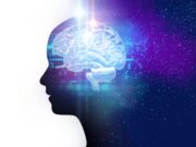 Brain