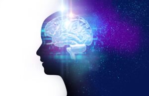 Brain