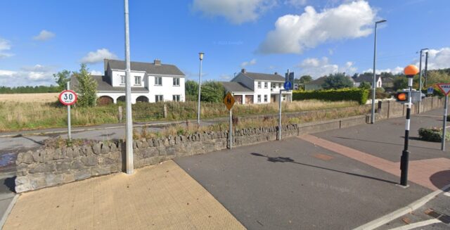 Houses in Portlaoise