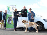 Guide Dogs