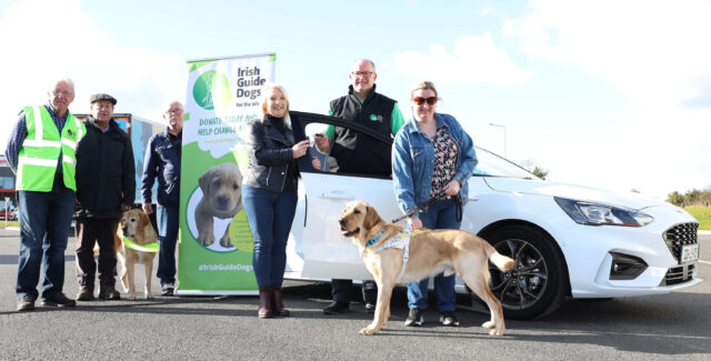 Irish Guide Dogs Car Winner 01 Guide Dogs