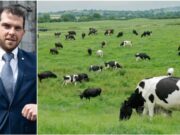 John Keane Milk Quota