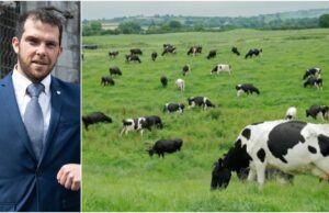 John Keane Milk Quota