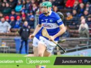 Laois hurlers