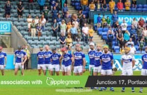 Laois hurlers general