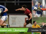 Laois v Ulster teams