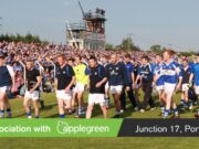Laois v Wicklow 2008
