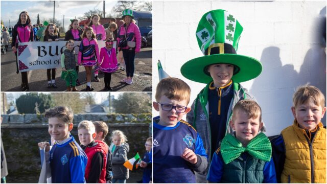 Vicarstown parade