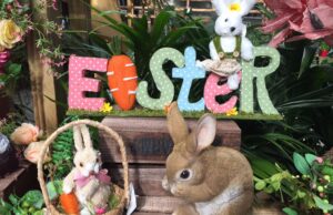 Easter Solas