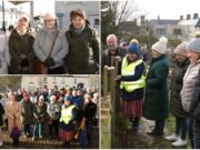 Abbeyleix Tidy Towns Main