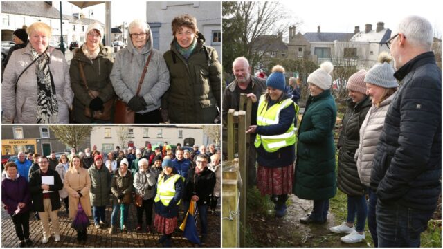 Abbeyleix Tidy Towns Main