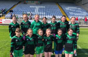 Ballyfin Division 2 Shield
