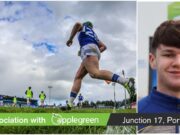 Fionan Mahony Laois U-20 hurlers