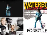 Forest Fest The Waterboys