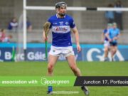 Laois hurlers