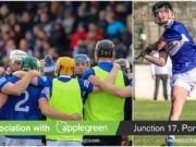 Laois minor and senior hurlers
