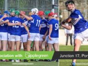 Laois minor hurlers