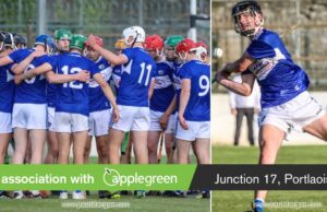Laois minor hurlers