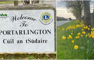 Portarlington Spring Clean