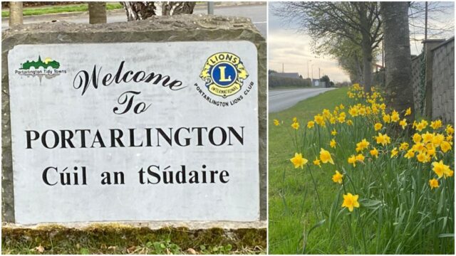 Portarlington Spring Clean