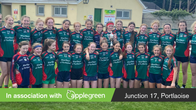 Scoil Chriost Ri U-14 Leinster winners