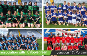 Cumann na mBunscol hurling and camoigie results Day 1 2022