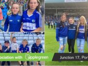 Leinster minor hurling final
