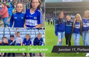 Leinster minor hurling final