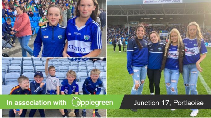 Leinster minor hurling final