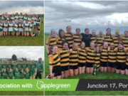 Feile ladies finals