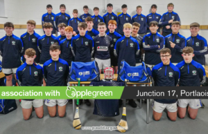 Laois Celtic Challenge team new