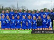Laois camogie new (3)