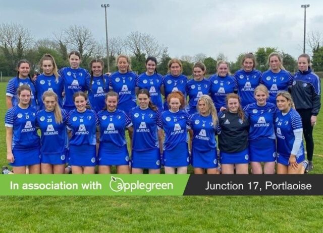 Laois camogie new (3)