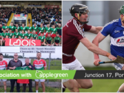 Laois hurlers Cloanslee Borris-Kilcotton
