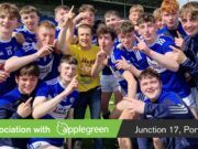 Laois minor hurlers