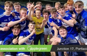 Laois minor hurlers