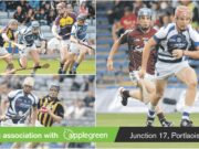 Laois minor hurlers 2013