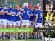 Laois minor hurlers Ben Deegan
