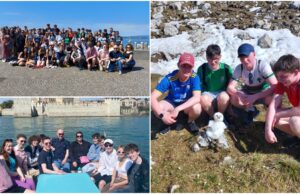 Mountrath Community School TY