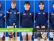 Laois minor hurlers