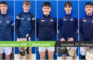 Laois minor hurlers