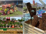 SOLAS ECO GARDEN (2)