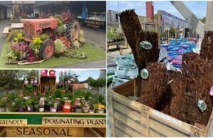 SOLAS ECO GARDEN (2)