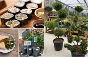 SOLAS Eco Garden