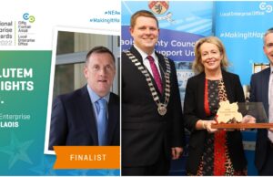 Salutem Insights Enterprise Awards Laois