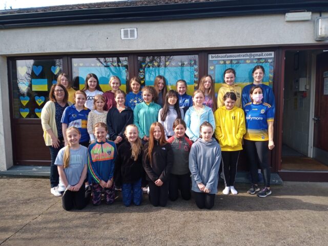 Scoil Bhride Mountrath Fundraiser (2)