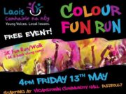 Vicarstown Colour Run