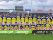 Abbeyleix Division 2 Winners