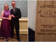 Ballykilcavan Award